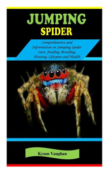 Jumping Spider : JUMPING SPIDER: Comprehensive and information on Jumping Spider Care, Feeding, Breeding, Housing, Lifespan and Health