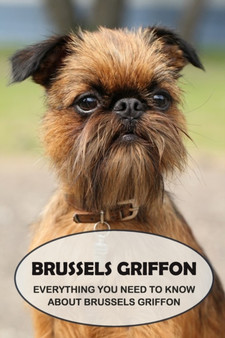 Brussels Griffon : Everything You Need to Know About Brussels Griffon: Brussels Griffon Dog Breed Pictures