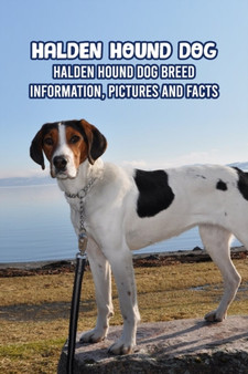 Halden Hound Dog : Halden Hound Dog Breed Information, Pictures and Facts: Halden Hound Dog Guide Book