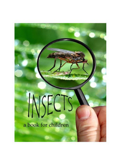 Insects - a book for children: All about insects