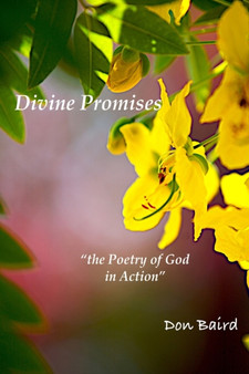 Divine Wisdom : the Poetry of God in Action
