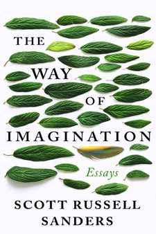 The Way Of Imagination : Essays