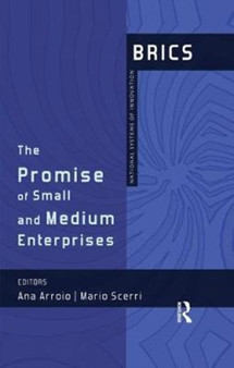 The Promise of Small and Medium Enterprises : BRICS National Systems of Innovation