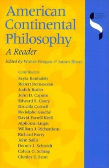 American Continental Philosophy : A Reader
