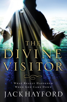 Divine Visitor : What Really Happened When God Came Down