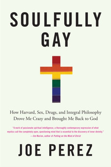 Soulfully Gay : How Harvard, Sex, Drugs, and Integral Philosophy Drove Me Crazy and Brought Me Back to God