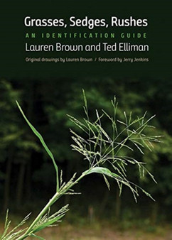 Grasses, Sedges, Rushes : An Identification Guide by Lauren Brown - Paperback