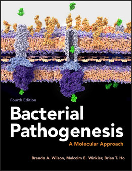 Bacterial Pathogenesis : A Molecular Approach by Brenda A. Wilson - Paperback