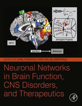 Neuronal Networks in Brain Function, CNS Disorders, and Therapeutics by Carl Faingold - Hardback
