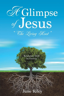 A Glimpse of Jesus