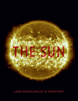 The Sun by Leon Golub - Hardback