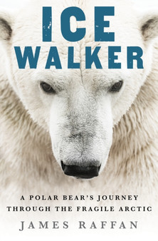 Ice Walker : A Polar Bear's Journey through the Fragile Arctic by James Raffan - Hardback