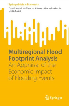 Multiregional Flood Footprint Analysis : An Appraisal of the Economic Impact of Flooding Events by David Mendoza-Tinoco - Paperback