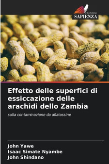 Effetto delle superfici di essiccazione delle arachidi dello Zambia by John Yawe - Paperback