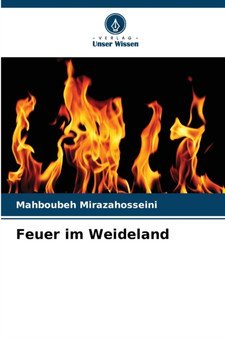 Feuer im Weideland by Mahboubeh Mirazahosseini - Paperback
