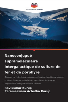 Nanoconjugue supramoleculaire intergalactique de sulfure de fer et de porphyre by Ravikumar Kurup - Paperback