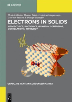 Electrons in Solids : Mesoscopics, Photonics, Quantum Computing, Correlations, Topology by Hendrik Bluhm - Paperback
