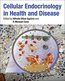 Cellular Endocrinology in Health and Disease by Alfredo Mexico City Mexico) Ulloa-Aguirre - Hardback