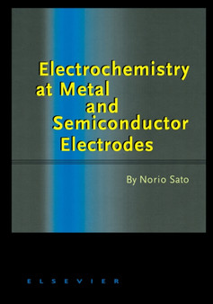 Electrochemistry at Metal and Semiconductor Electrodes by Norio Sato - Hardback