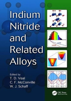 Indium Nitride and Related Alloys by Timothy David Veal - Paperback