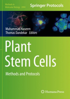 Plant Stem Cells : Methods and Protocols : 2094 by Muhammad Naseem - Paperback