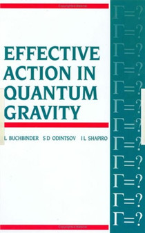 Effective Action in Quantum Gravity by I.L Buchbinder - Hardback