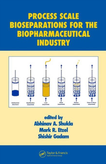 Process Scale Bioseparations for the Biopharmaceutical Industry by Abhinav A. Shukla - Hardback