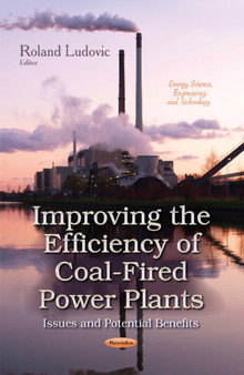 Improving the Efficiency of Coal-Fired Power Plants : Issues & Potential Benefits by Roland Ludovic - Paperback