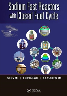 Sodium Fast Reactors with Closed Fuel Cycle by Baldev Raj - Hardback