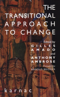 The Transitional Approach to Change by Gilles Amado - Paperback