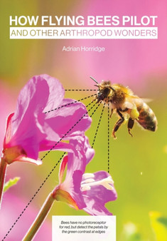 How Flying Bees Pilot, and other arthropod wonders by Adrian Horridge - Paperback