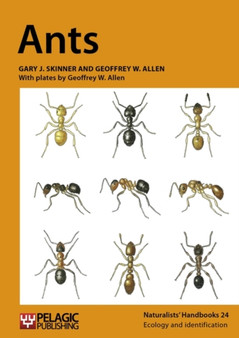 Ants : 24 by Gary J. Skinner - Paperback