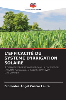 L'Efficacite Du Systeme d'Irrigation Solaire by Diomedes Angel Castro Laura - Paperback