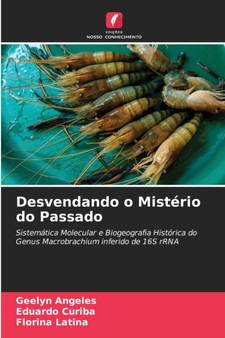 Desvendando o Misterio do Passado by Geelyn Angeles - Paperback