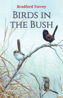 Birds in the Bush by Bradford Torrey - Paperback