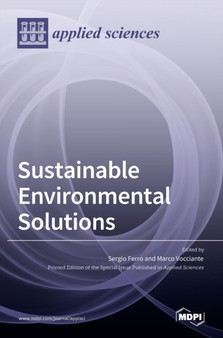 Sustainable Environmental Solutions by Sergio Ferro - Hardback