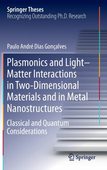 Plasmonics and Light-Matter Interactions in Two-Dimensional Materials and in Metal Nanostructures : Classical and Quantum Considerations by Paulo Andre Dias Goncalves - Hardback