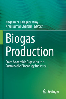 Biogas Production : From Anaerobic Digestion to a Sustainable Bioenergy Industry by Nagamani Balagurusamy - Paperback
