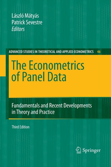 The Econometrics of Panel Data : Fundamentals and Recent Developments in Theory and Practice : 46 by Laszlo Matyas - Paperback