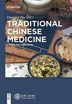 Traditional Chinese Medicine : Theory and Principles by Dongpei Hu - Paperback