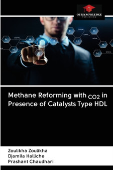 Methane Reforming with CO2 in Presence of Catalysts Type HDL by Zoulikha Zoulikha - Paperback