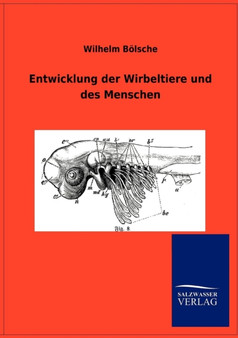 Entwicklung der Wirbeltiere und des Menschen by Wilhelm Boelsche - Paperback