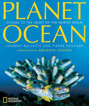 Planet Ocean : Voyage to the Heart of the Marine Realm by Laurent Ballesta - Hardback