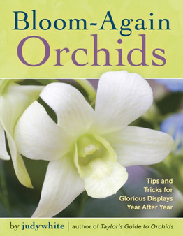 BLOOM AGAIN ORCHIDS by JUDYWHITE - Paperback