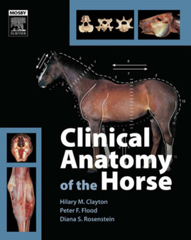 Clinical Anatomy of the Horse by Hilary M. BVSc PhD MRCVS Clayton - Hardback
