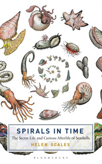 Spirals in Time : The Secret Life and Curious Afterlife of Seashells by Helen Scales - Hardback