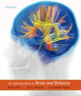 An Introduction to Brain and Behavior by Bryan Kolb - Hardback