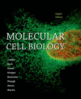 Molecular Cell Biology by Arnold Berk - Hardback