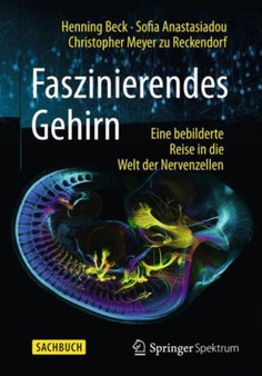 Faszinierendes Gehirn : Eine bebilderte Reise in die Welt der Nervenzellen by Henning Beck - Hardback