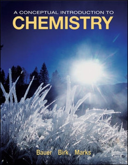 A Conceptual Introduction to Chemistry by Rich Bauer - Hardback